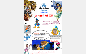 INSCRIPTIONS AU STAGE DE NOEL